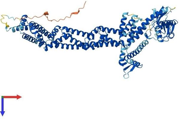 Cullin 4A Protein (CUL4A) (AA 1-759) (His tag)