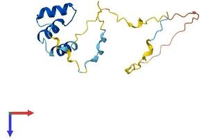 AVPI1 Protein (AA 1-147) (His tag)
