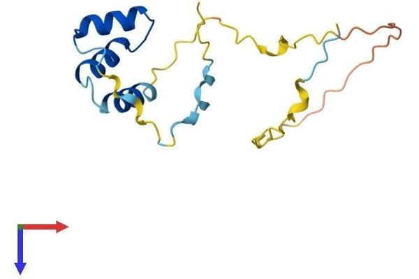 AVPI1 Protein (AA 1-147) (His tag)