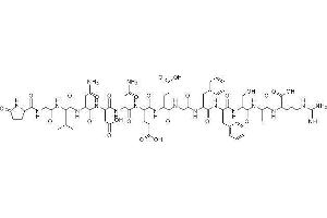 Image no. 1 for Fibrinopeptide B (FPB) peptide (ABIN399421) (Fibrinopeptide B (FPB) Peptid)