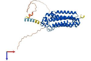 Adiponectin Receptor 2 Protein (ADIPOR2) (AA 1-386) (His tag)
