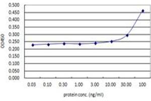 Sandwich ELISA detection sensitivity ranging from 3 ng/ml to 100 ng/ml. (ACTN4 (Human) Matched Antibody Pair)