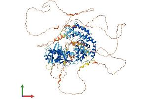 Protein Structure (PS) image for Ras and Rab Interactor 3 (RIN3) (AA 1-980) protein (His tag) (ABIN7563483)