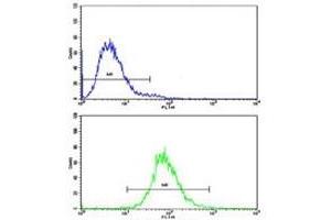 Flow Cytometry (FACS) image for anti-CD36 (CD36) (AA 213-242) antibody (ABIN3030387)