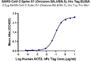 Immobilized SARS-CoV-2 Spike S1 (Omicron BA. (SARS-CoV-2 Spike S1 Protein (BA.4 - Omicron, BA.5 - Omicron) (His tag))