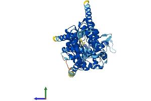 Protein Structure (PS) image for Hyaluronan Synthase 2 (HAS2) (AA 1-552) protein (His tag) (ABIN7563522)
