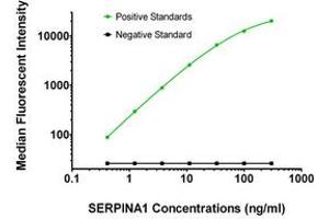 Luminex Assay (LMNX) image for anti-serpin Peptidase Inhibitor, Clade A (Alpha-1 Antiproteinase, Antitrypsin), Member 1 (SERPINA1) antibody (ABIN2715969)