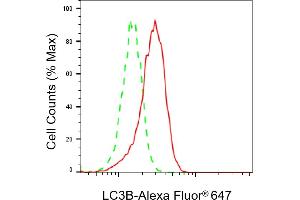 Flow cytometric analysis of LC3B expression in H9c2 cells using LC3B antibody (ABIN7799410), 1:2,000). (Rekombinanter LC3B Antikörper)