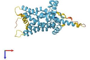 SLC25A22 Protein (AA 1-323) (His tag)