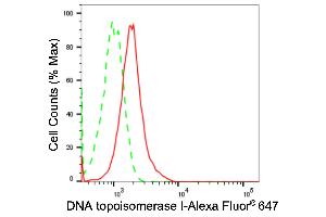 Flow cytometric analysis of DNA topoisomerase I expression in HT- cells using DNA topoisomerase I antibody (ABIN7800571), 1:2,000). (Rekombinanter Topoisomerase I Antikörper)
