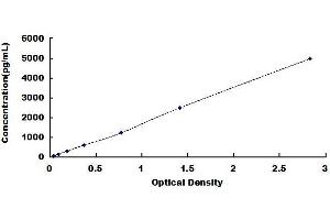 Typical standard curve (NRF1 ELISA Kit)