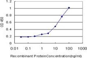 Detection limit for recombinant GST tagged MAP2K6 is approximately 0. (MAP2K6 Antikörper  (AA 231-334))