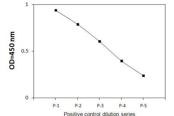 CDK1 ELISA Kit