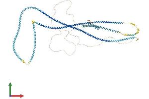 Protein Structure (PS) image for Coiled-Coil Domain Containing 40 (CCDC40) (AA 1-1142) protein (His tag) (ABIN7553012)