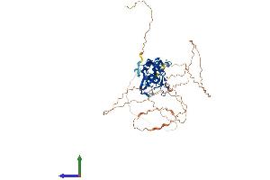 Protein Structure (PS) image for T-Box 5 (TBX5) (AA 1-518) protein (His tag) (ABIN7556697)