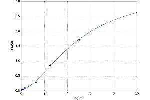A typical standard curve