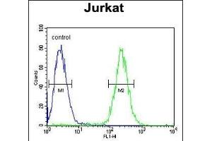 GNAT1 Antibody (C-term) (ABIN653740 and ABIN2843042) flow cytometric analysis of Jurkat cells (right histogram) compared to a negative control cell (left histogram). (GNAT1 Antikörper  (C-Term))