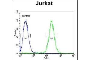 Flow Cytometry (FACS) image for anti-Guanine Nucleotide Binding Protein (G Protein), alpha Transducing Activity Polypeptide 1 (GNAT1) (AA 290-318), (C-Term) antibody (ABIN653740)