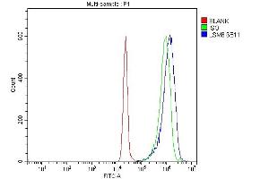 Flow Cytometry analysis of JK cells using anti-LSM8 antibody (ABIN7599578). (NAA38 Antikörper  (AA 1-96))