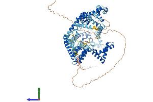 Protein Structure (PS) image for Upstream Binding Transcription Factor, RNA Polymerase I (UBTF) (AA 1-764) protein (His tag) (ABIN7545001)