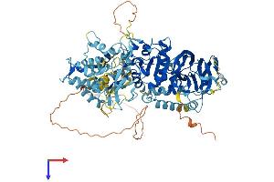 DGKG Protein (AA 1-791) (His tag)