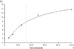 Surface Plasmon Resonance (SPR) image for CD52 (CD52) (AA 25-36) protein (mFc Tag) (ABIN7274198)