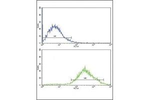 Flow Cytometry (FACS) image for anti-Discoidin Domain Receptor tyrosine Kinase 2 (DDR2) antibody (ABIN3030741)