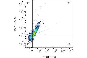 Cell surface multicolor flow cytometry analysis of live intact mouse  microglia cells with CD81 and P2Y12: cells were labeled with Anti-CD81 (extracellular)-FITC Antibody (ABIN7582017), (5 μg) and with Anti-P2Y12 Receptor (extracellular)-APC Antibody (ABIN7582062), (5 μg). (CD81 Antikörper  (Extracellular) (FITC))