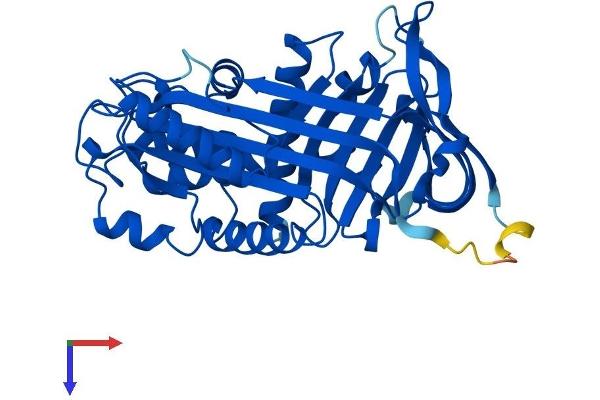 SERPINB5 Protein (AA 1-375) (His tag)