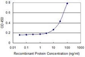 Detection limit for recombinant GST tagged TCN2 is 1 ng/ml as a capture antibody. (TCN2 Antikörper  (AA 1-400))