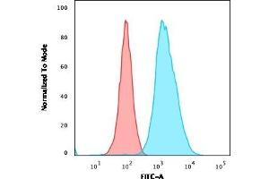 Flow Cytometric Analysis of U2OS cells using CD40 Mouse Monoclonal Antibody (C40/1605) followed by goat anti-Mouse IgG-CF488 (Blue); Isotype Control (Red). (CD40 Antikörper)