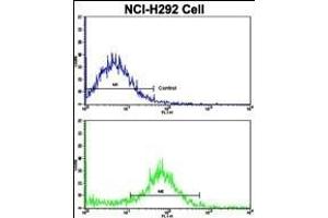 Flow cytometric analysis of NCI- cells using VTI1A Antibody (C-term)(bottom histogram) compared to a negative control cell (top histogram).