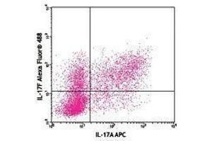 Flow Cytometry (FACS) image for anti-Interleukin 17F (IL17F) antibody (Alexa Fluor 488) (ABIN2657542) (IL17F Antikörper  (Alexa Fluor 488))