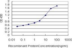 Detection limit for recombinant GST tagged TNXB is approximately 0. (TNXB Antikörper  (AA 1-673))