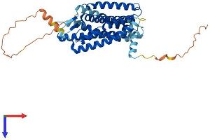 GPR17 Protein (AA 1-367) (His tag)
