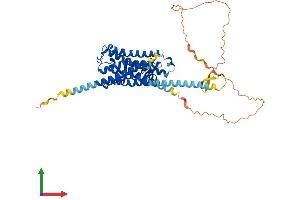 Protein Structure (PS) image for Cholinergic Receptor, Muscarinic 4 (CHRM4) (AA 1-479) protein (His tag) (ABIN7563130)