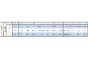 Image no. 1 for Human Neuro Discovery Array C2 (ABIN4955903) (Human Neuro Discovery Array C2)