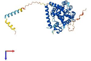 GAL3ST3 Protein (AA 1-431) (His tag)