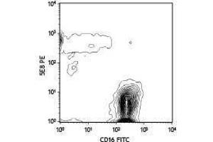 Flow Cytometry (FACS) image for anti-Chemokine (C-C Motif) Receptor 3 (CCR3) antibody (PE) (ABIN2663119) (CCR3 Antikörper  (PE))