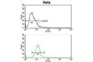 Flow Cytometry (FACS) image for anti-EPH Receptor B3 (EPHB3) antibody (ABIN3003350) (EPH Receptor B3 Antikörper)