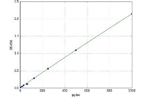 Nestin (NES) ELISA Kit