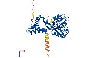 NSMCE1 Protein (AA 1-266) (His tag)