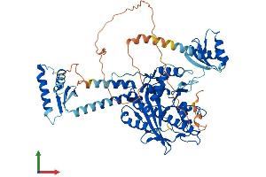 Protein Structure (PS) image for Poly A Specific Ribonuclease (PARN) (AA 1-639) protein (His tag) (ABIN7554912)