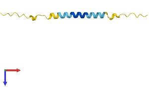 TMA7 Protein (AA 1-64) (Fc Tag)