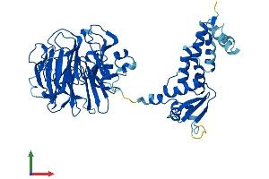 Protein Structure (PS) image for Regulator of Chromosome Condensation (RCC1) and BTB (POZ) Domain Containing Protein 1 (RCBTB1) (AA 1-531) protein (His tag) (ABIN7551297)