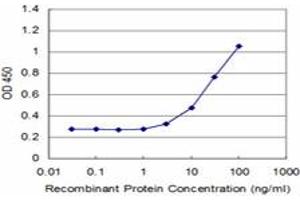 Detection limit for recombinant GST tagged ZNF70 is approximately 3ng/ml as a capture antibody. (ZNF70 Antikörper  (AA 1-446))