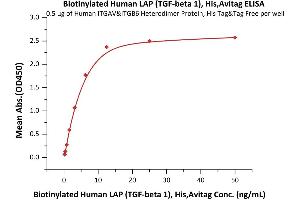 Immobilized Human ITGAV&ITGB6 Heterodimer Protein, His Tag&Tag Free (ABIN2870664,ABIN2870665) at 5 μg/mL (100 μL/well) can bind Biotinylated Human LAP ( 1), His,Avitag (ABIN6731275,ABIN6809946) with a linear range of 0.