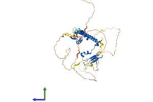 Protein Structure (PS) image for E2F Transcription Factor 2 (E2F2) (AA 1-443) protein (His tag) (ABIN7556498)