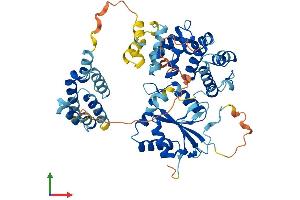Protein Structure (PS) image for Fas-Activated serine/threonine Kinase (FASTK) (AA 1-511) protein (His tag) (ABIN7561560)