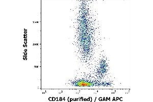 Flow cytometry surface staining pattern of human peripheral whole blood stained using anti-human CD184 (12G5) purified antibody (concentration in sample 0,33 μg/mL) GAM APC. (CXCR4 Antikörper)